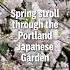 Take A Springtime Stroll Through The Portland Japanese Garden