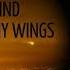 BETTE MIDLER Wind Beneath My Wings BEACHES