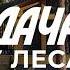 Сколько стоит построить дом с нуля сегодня в 2025 про цены подрядчиков и поиск участка Sewera