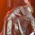 Dimash Armenia Concert Димаш