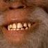 Harry And The Hendersons 7 9 Movie CLIP There Are No Bigfeet 1987 HD