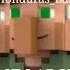 Villager Becoming Canny All Stars