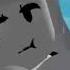 Uwu Roblox Recomend Robloxlive Robuxgiveaway Roadto600 Uwu