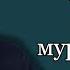 15 ФИНАЛ Жук в муравейнике А и Б Стругацкие