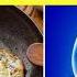 5 ошибок которых НИКОГДА НЕ СЛЕДУЕТ ДОПУСКАТЬ при употреблении яиц