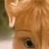 The Chipettes The Song Ft Queensbury