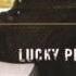 Lucky Peterson Why Can T We Live Together
