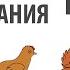 Выращивание кур все этапы за 10 минут от яйца до забоя