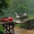 Super Car And Horse Carriage Tragedy On Wooden Bridge Disaster Ai Shorts