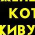 Правда о женщинах которые ЖИВУТ ОДНИ без мужчины Карл Юнг