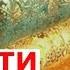 ЖАННАТНИ СОТИБ ОЛГАН САВДОГАР таъсирли хикоя