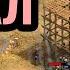 DauT в ФИНАЛЕ Турнир за 14 000 Age Of Empires 2 The Cartographers 2