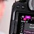 Canon R6 Mark II The SETTINGS You NEED To KNOW