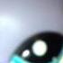 Littlest Pet Shop КЛИП