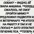 Верный друг