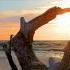 Right Here Waiting Lyrics Richard Marx