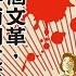 历史明镜 乔晞华 高伐林 争个未休 毛泽东的文革和人民的文革 20170417 第27期