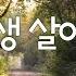 1시간 내 평생 살아온 길 주의 은혜라 도노마리아 박상현 Live