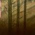 THE VISITATIONS OF GOD PART 2