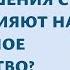Как детство формирует родительство