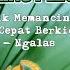 TERAPI PLECI SUPER AMPUH SMART MASTERING UNTUK PLECI