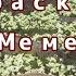 Тело раскопать