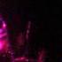 Lose It Beat And The Pulse Austra