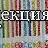 Обзор моих коллекции манг на июль 2017 год Моя коллекция манги My Manga Collection