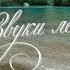 4K Звуки природы лесное озеро пение птиц шум воды Relax ручей медитация журчание воды йога