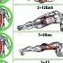 Best Abs Exercises Shorts Music Trending