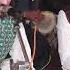 Mast Nazron Se Allah Bachaye Mazhar Abbas Khan Qawal Son Of Haji Ghulam Abbas Khan Qawal