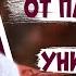 Лекарства от ПАРАЗИТОВ убивают РАК Свежие научные факты от доктора онколога
