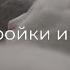 Землеройки и кошка