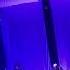 Katie Melua Joy Live At The Royal Albert Hall London 16 05 2023
