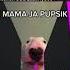 MAMA JA PUPSIK