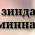 Рози дил