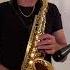 Белый лебедь White Swan Alto Sax