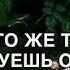 Шахид