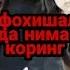 Foxishalar Bularni Koring Turkiyadagi Foxishalar