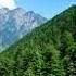 Neelum Valley A J K