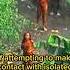 The LAST Untouched Tribe In The World In The North Sentinel Island