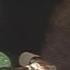 Ashford Simpson Let S Go Get Stoned Live