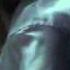 Sectumsempra Full Scene