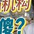 从大厨隋波与MCN机构的 分手 大戏看门道 网红如何慧眼识MCN 机构如何避免养虎为患 深度解析个人IP打造 内容变现与未来小团队协作模式的成功关键