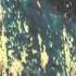 Heath Hunter Revolution In Paradise 2004 HDTV