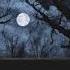 HOSH Feat Jalja Midnight The Hanging Tree MK Remix