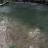 Fly Fishing For Trout No Music Just The Sounds Of Nature Fishing Flyfishing Fish Nature