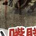 老Z調查線 100 忤惡 台灣最兇無差別事件 竟只因2個小女生惹到他 台灣大搜索CtiCSI