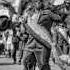 YOUNG MEN OLYMPIAN 3RD DIVISION BIG STEPPERS