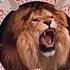 Metro Goldwyn Mayer Logo History Reversed